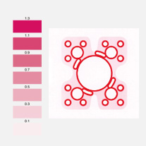 4. Evaluer la pression en comparant la densité de la couleur avec l'abaque du film